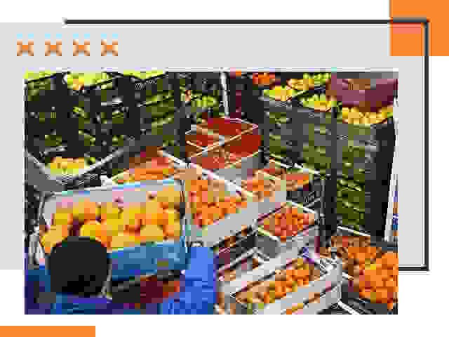 Перевозка скоропортящихся продуктов в отрадном